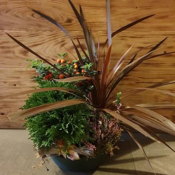 coupe de plantes 